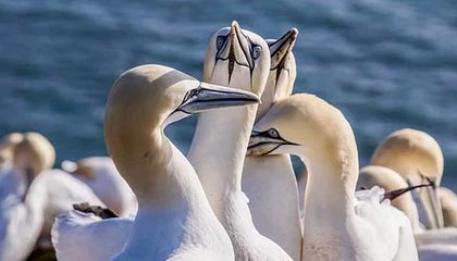 克孜勒苏柯尔克孜高价100块钱过夜的联系方式的最新政策(2025年克孜勒苏柯尔克孜附近快餐3小时400元不限次数分享)