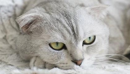 克孜勒苏柯尔克孜高价上海医保提取2025的最新政策(2025年克孜勒苏柯尔克孜上海医保怎么提取现金分享)