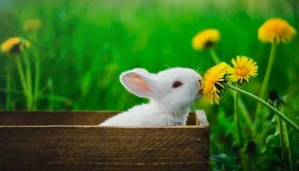 克孜勒苏柯尔克孜高价上海医保提取2025的最新政策(2025年克孜勒苏柯尔克孜上海医保怎么提取现金分享)